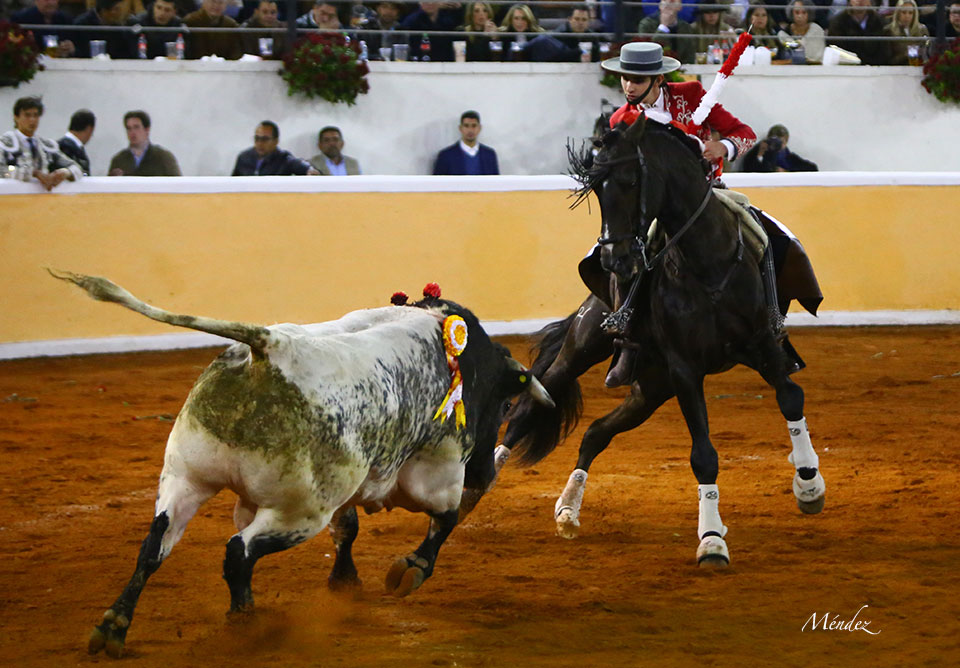 Juriquilla (México). Viernes 1 de febrero de 2019