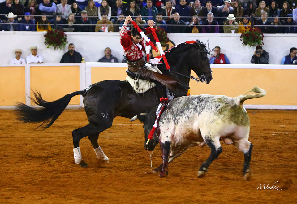 Juriquilla (México). Viernes 1 de febrero de 2019