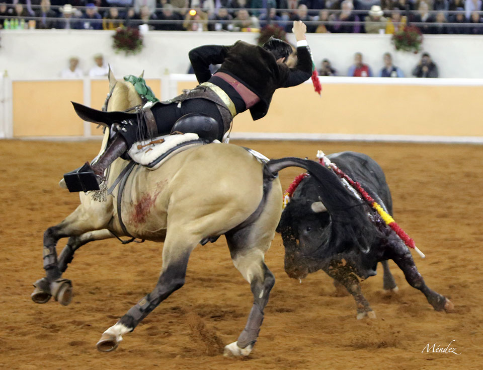 Juriquilla (México). Viernes 1 de febrero de 2019