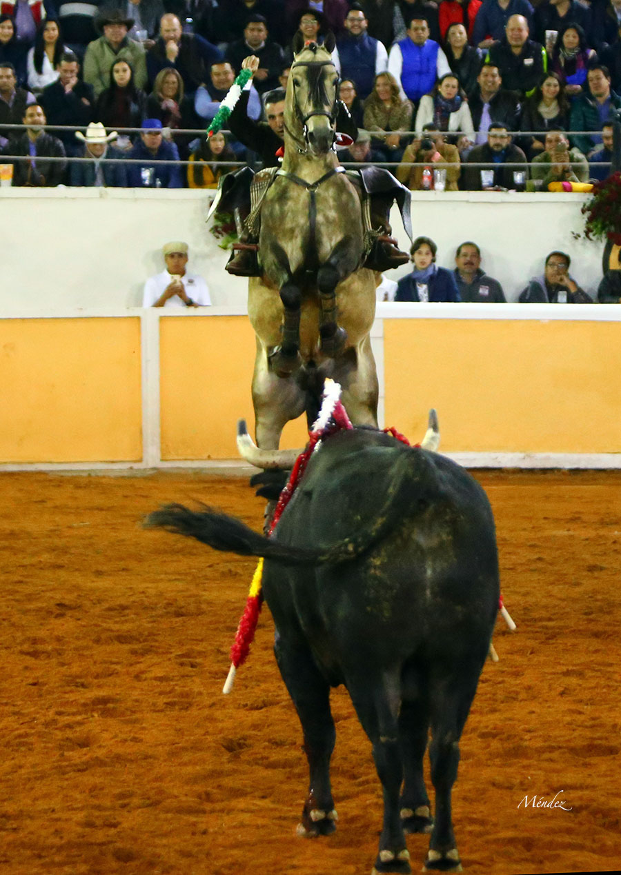 Juriquilla (México). Viernes 1 de febrero de 2019