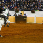 Juriquilla (México). Viernes 1 de febrero de 2019