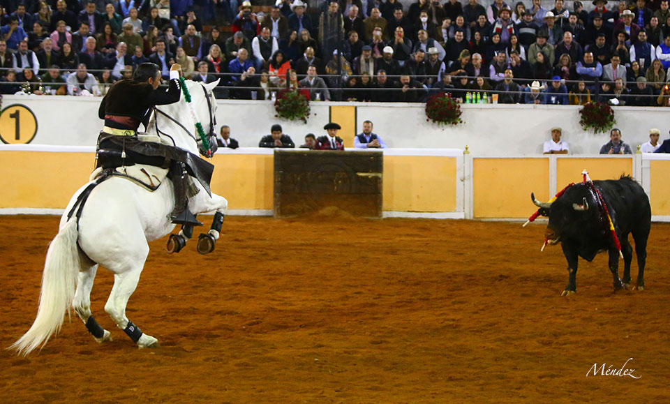 Juriquilla (México). Viernes 1 de febrero de 2019