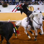Juriquilla (México). Viernes 1 de febrero de 2019
