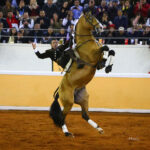 Juriquilla (México). Viernes 1 de febrero de 2019