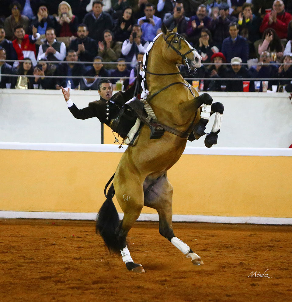 Juriquilla (México). Viernes 1 de febrero de 2019
