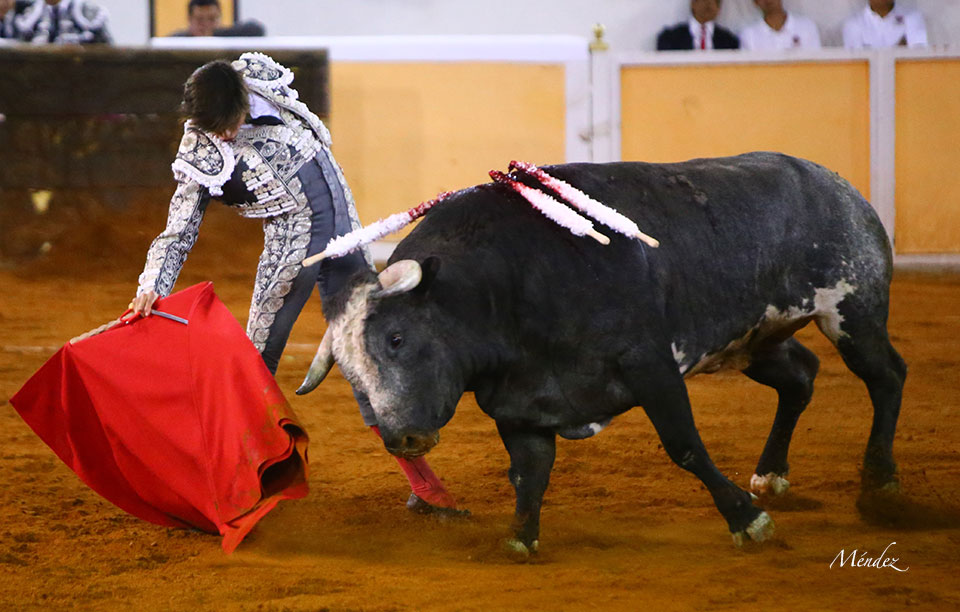 Juriquilla (México). Viernes 1 de febrero de 2019