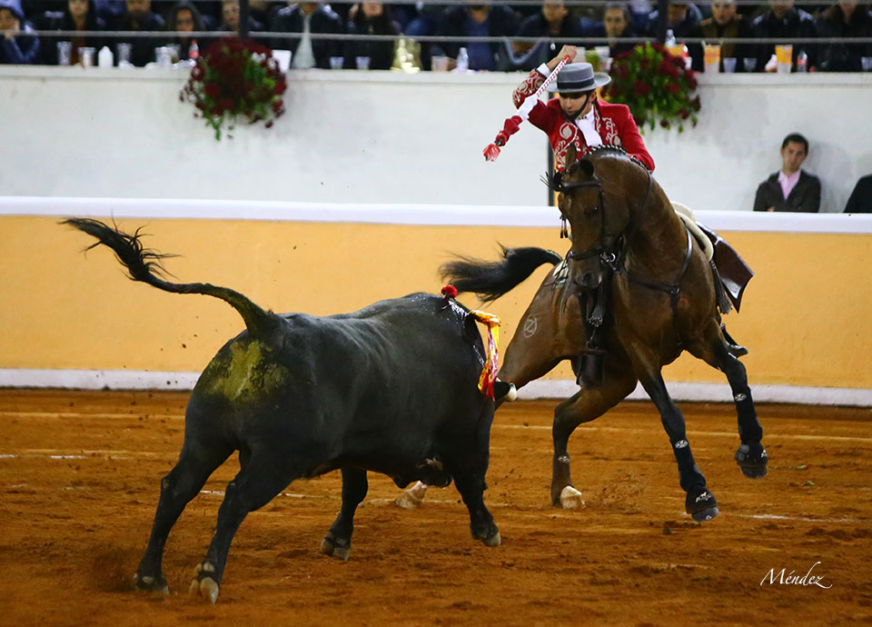 Juriquilla (México). Viernes 1 de febrero de 2019
