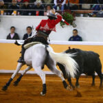 Juriquilla (México). Viernes 1 de febrero de 2019