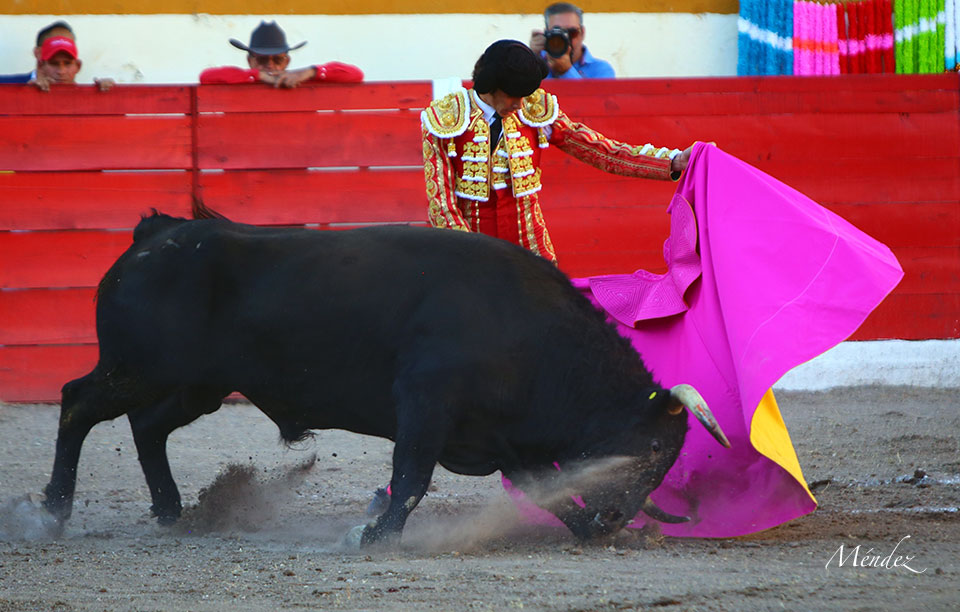 Encarnación de Díaz (México). Sábado 2 de febrero de 2019
