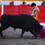 Encarnación de Díaz (México). Sábado 2 de febrero de 2019