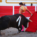 Encarnación de Díaz (México). Sábado 2 de febrero de 2019