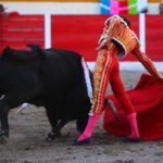 Encarnación de Díaz (México). Sábado 2 de febrero de 2019