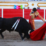 Encarnación de Díaz (México). Sábado 2 de febrero de 2019