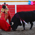 Encarnación de Díaz (México). Sábado 2 de febrero de 2019