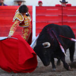 Encarnación de Díaz (México). Sábado 2 de febrero de 2019