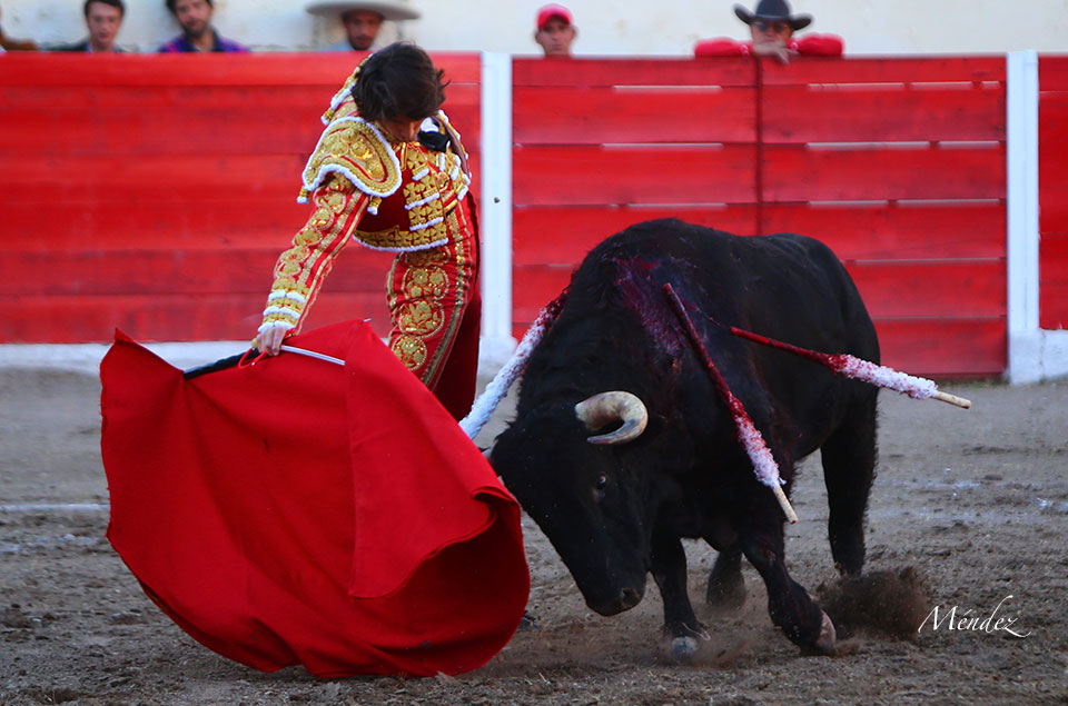 Encarnación de Díaz (México). Sábado 2 de febrero de 2019