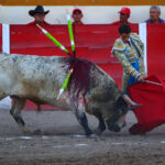 Encarnación de Díaz (México). Sábado 2 de febrero de 2019