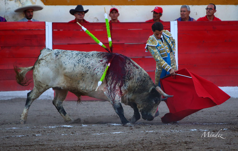 Encarnación de Díaz (México). Sábado 2 de febrero de 2019