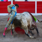 Encarnación de Díaz (México). Sábado 2 de febrero de 2019