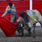 Encarnación de Díaz (México). Sábado 2 de febrero de 2019