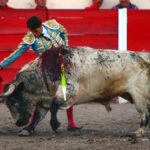 Encarnación de Díaz (México). Sábado 2 de febrero de 2019