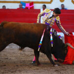 Encarnación de Díaz (México). Sábado 2 de febrero de 2019