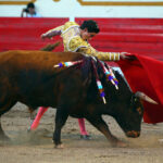 Encarnación de Díaz (México). Sábado 2 de febrero de 2019