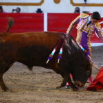Encarnación de Díaz (México). Sábado 2 de febrero de 2019