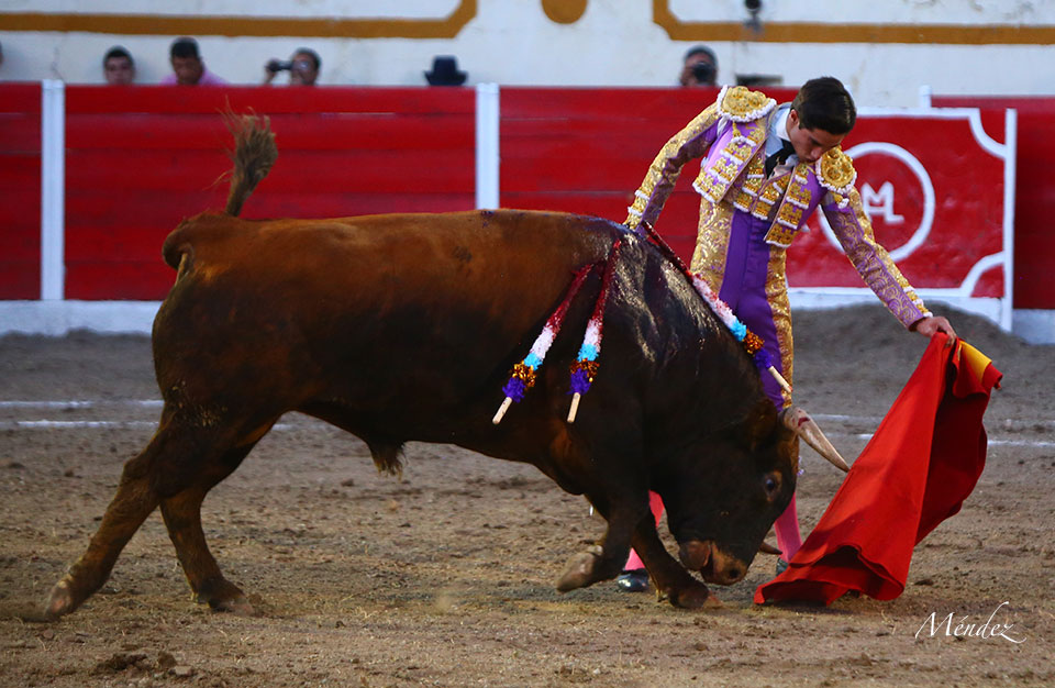 Encarnación de Díaz (México). Sábado 2 de febrero de 2019