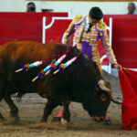 Encarnación de Díaz (México). Sábado 2 de febrero de 2019