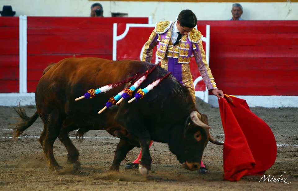 Encarnación de Díaz (México). Sábado 2 de febrero de 2019