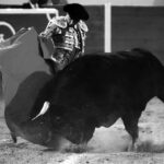 Encarnación de Díaz (México). Sábado 2 de febrero de 2019