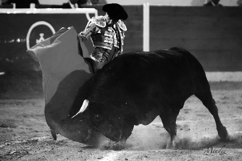 Encarnación de Díaz (México). Sábado 2 de febrero de 2019