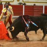 Encarnación de Díaz (México). Sábado 2 de febrero de 2019