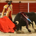 Encarnación de Díaz (México). Sábado 2 de febrero de 2019