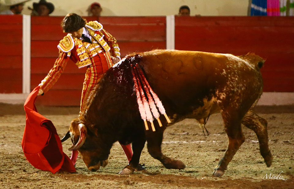 Encarnación de Díaz (México). Sábado 2 de febrero de 2019