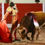 Encarnación de Díaz (México). Sábado 2 de febrero de 2019