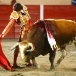 Encarnación de Díaz (México). Sábado 2 de febrero de 2019