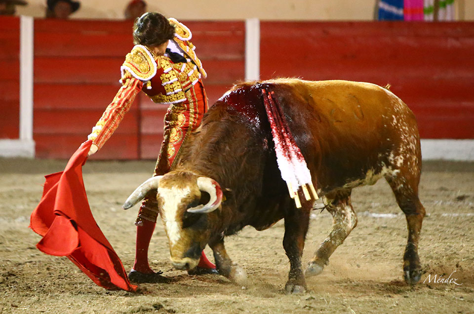 Encarnación de Díaz (México). Sábado 2 de febrero de 2019