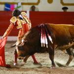 Encarnación de Díaz (México). Sábado 2 de febrero de 2019