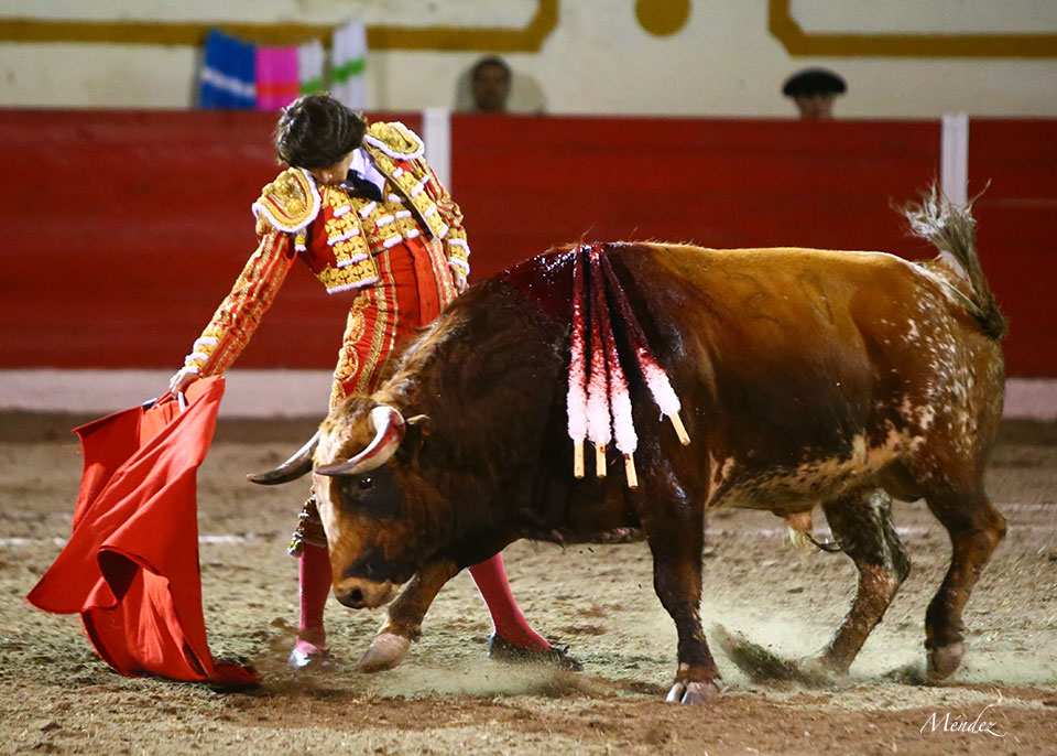 Encarnación de Díaz (México). Sábado 2 de febrero de 2019