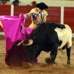 Encarnación de Díaz (México). Sábado 2 de febrero de 2019