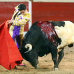 Encarnación de Díaz (México). Sábado 2 de febrero de 2019