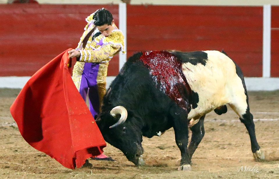 Encarnación de Díaz (México). Sábado 2 de febrero de 2019