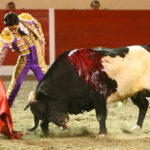 Encarnación de Díaz (México). Sábado 2 de febrero de 2019