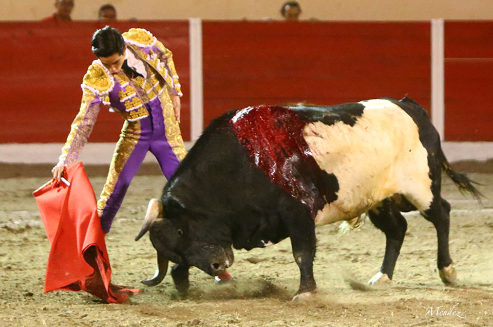 Encarnación de Díaz (México). Sábado 2 de febrero de 2019