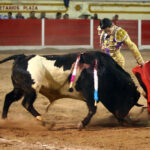 Encarnación de Díaz (México). Sábado 2 de febrero de 2019