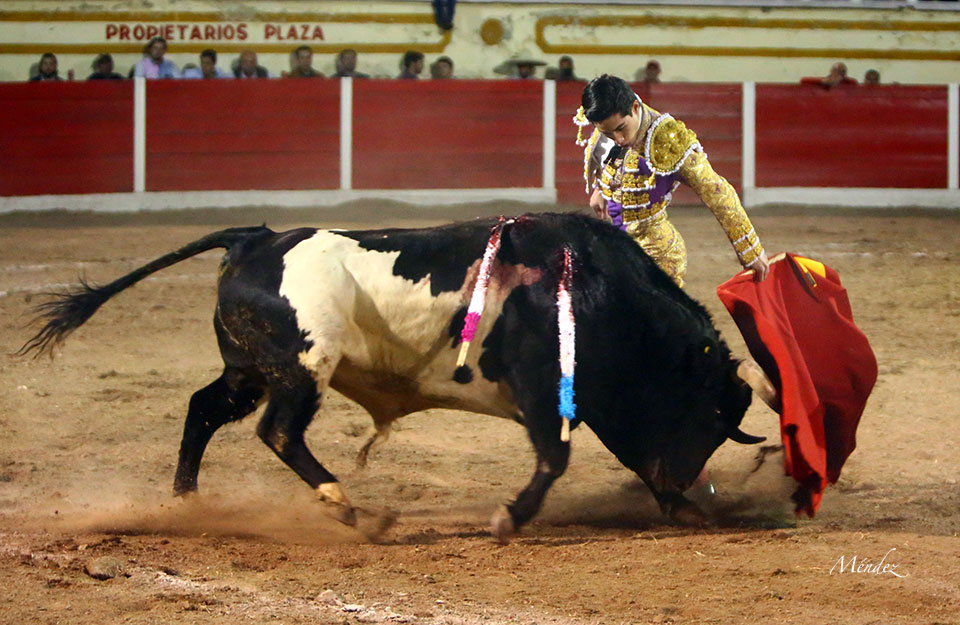 Encarnación de Díaz (México). Sábado 2 de febrero de 2019