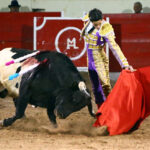 Encarnación de Díaz (México). Sábado 2 de febrero de 2019