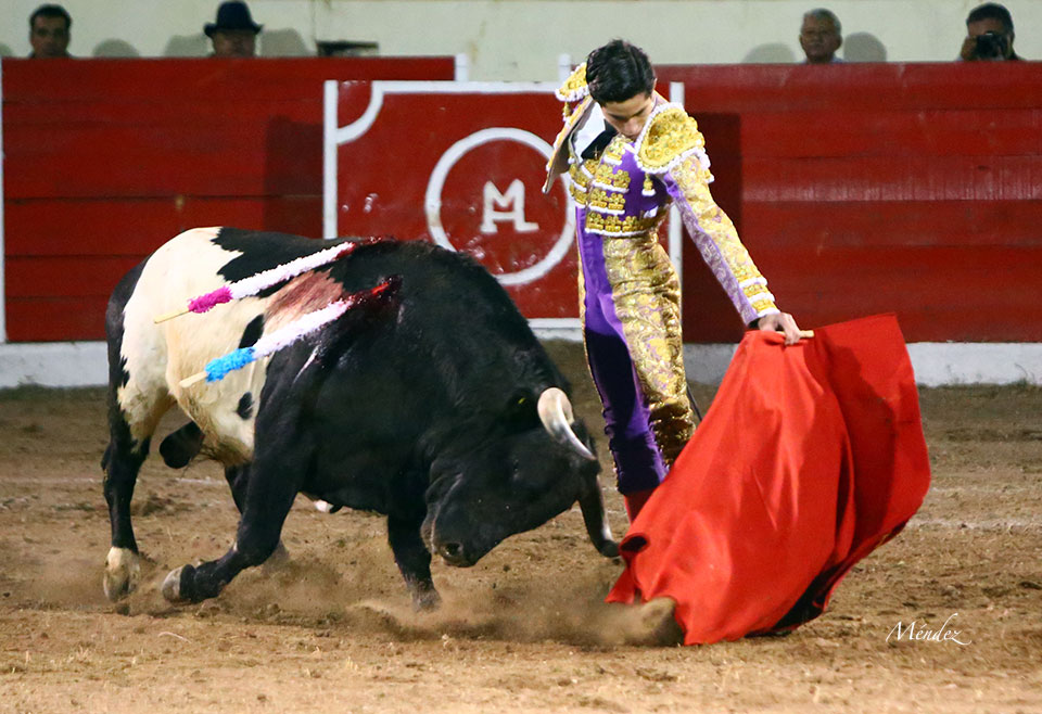 Encarnación de Díaz (México). Sábado 2 de febrero de 2019